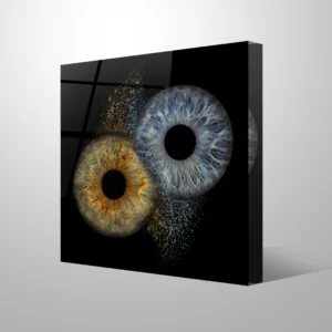 FOTOBLOK - Collision - Image 2